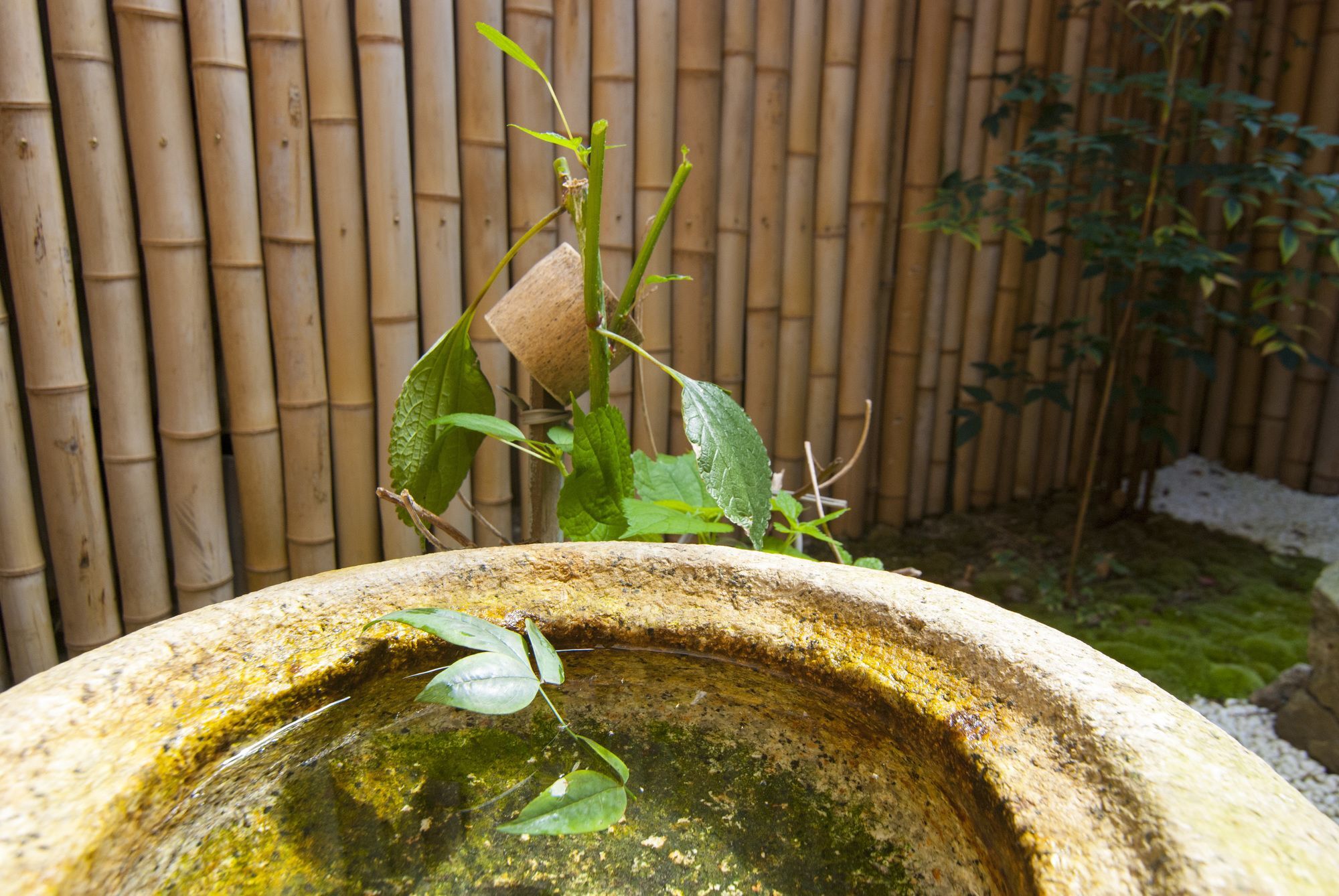 Kyo No Yado Bamboo Town Quioto Exterior foto
